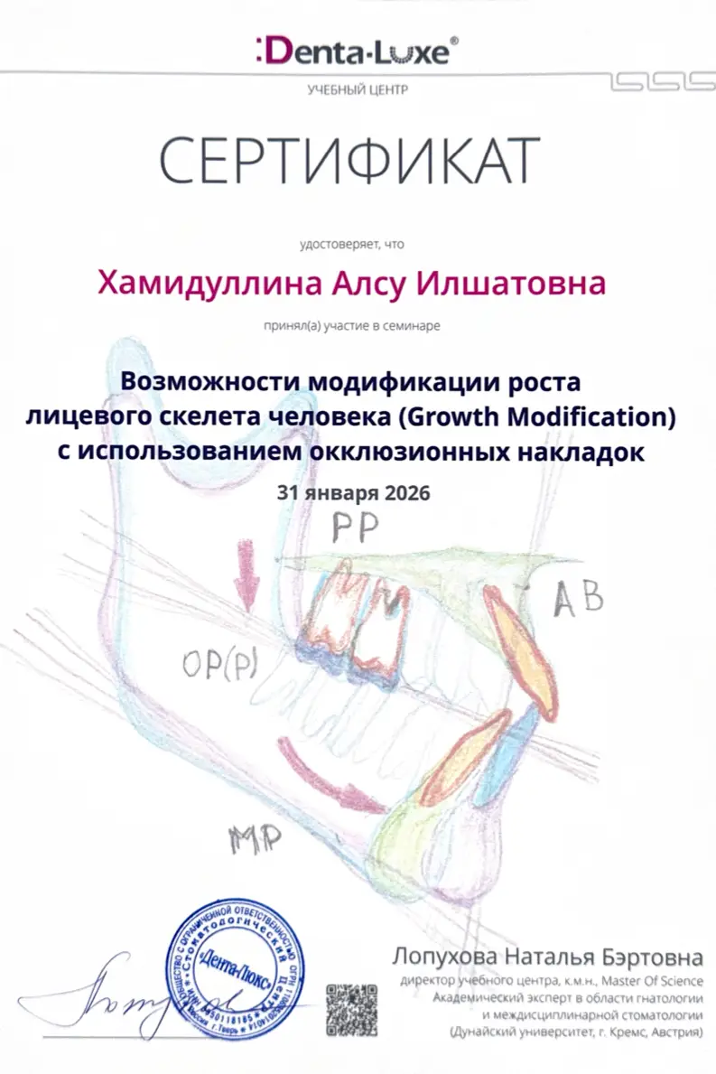 Сертификат — Хамидуллина Алсу Илшатовна